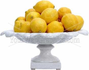 photo - lemons-8-jpg